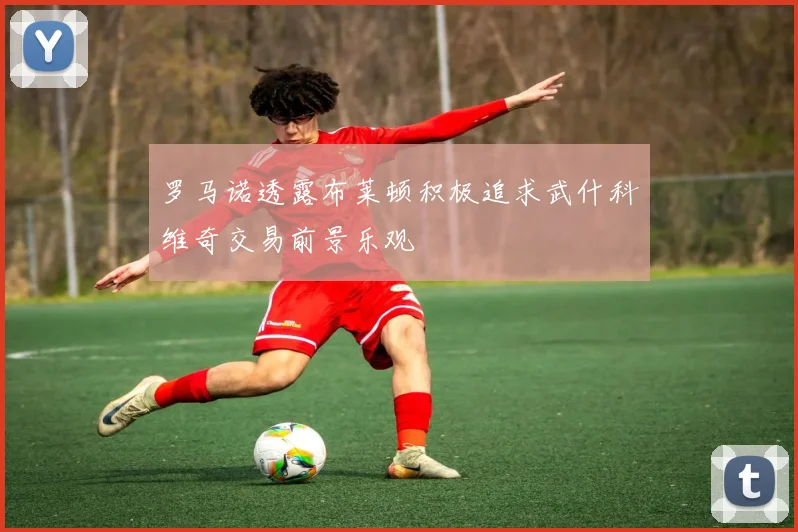 罗马诺透露布莱顿积极追求武什科维奇交易前景乐观