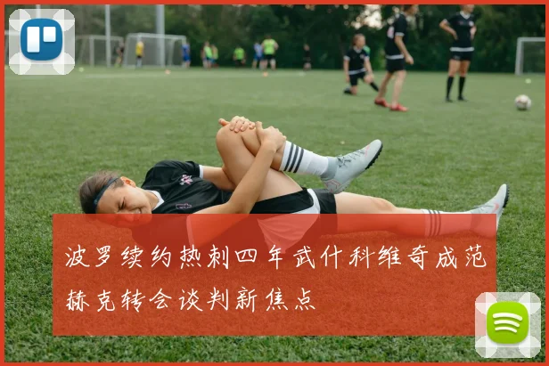 波罗续约热刺四年武什科维奇成范赫克转会谈判新焦点